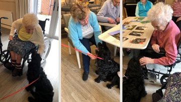 Derby care home Residents mark National Dog Day